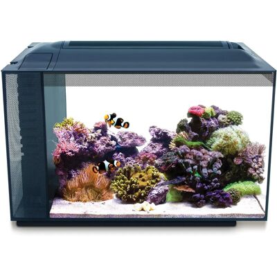 Fluval SEA Evo Kit d'Aquarium Marin 52L noir Fluval SEA Evo Kit d'Aquarium Marin 52L noir