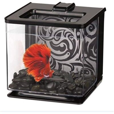 Kit d'Aquarium Marina Betta EZ Care - Aquarium pour Betta - Publicité Kit d'Aquarium Marina Betta EZ Care - Aquarium pour Betta - Publicité