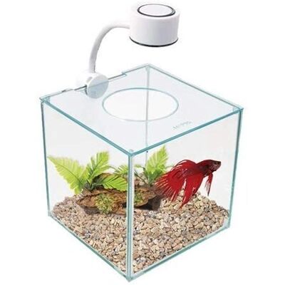 Kit Aquarium Betta Cubus MARINA - Aquarium - Publicité Kit Aquarium Betta Cubus MARINA - Aquarium - Publicité