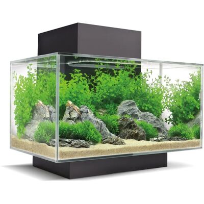 Fluval Edge 2.0 23L - svart Fluval Edge 2.0 23L - svart