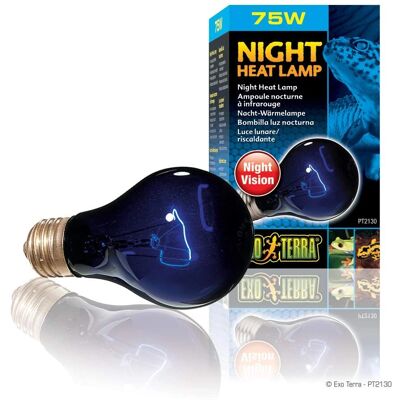 Exo Terra Night-Glo Mondlicht Heizlampe - 75 W Reptilienlampe Exo Terra Night-Glo Mondlicht Heizlampe - 75 W Reptilienlampe