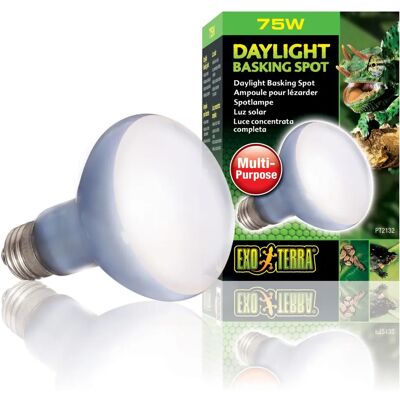 Exo Terra PT2132 Reptilien-Heizlampe - 75 W Exo Terra PT2132 Reptilien-Heizlampe - 75 W