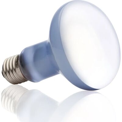 Exo Terra PT2133 Lampada riscaldante per rettili - 100 W Exo Terra PT2133 Lampada riscaldante per rettili - 100 W