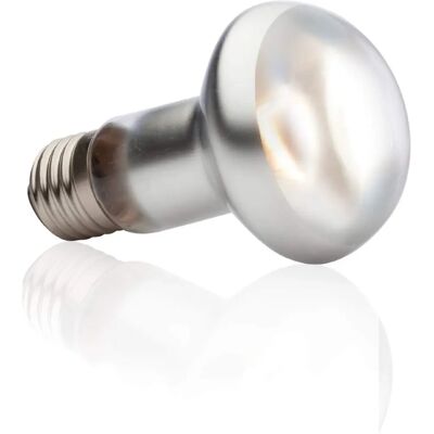 Exo Terra 50W Basking Spot Lamp - Infrared Heat & Night Light Exo Terra 50W Basking Spot Lamp - Infrared Heat & Night Light