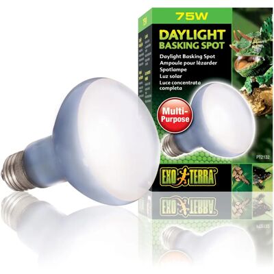 Lampe de Reptile Exo Terra Spot Intense - 100W - Publicité Lampe de Reptile Exo Terra Spot Intense - 100W - Publicité