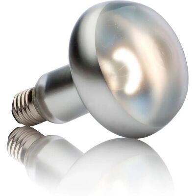 Exo Terra PT2140 Reptilien-Heizlampe - 150W - Wärme & Licht für Reptilien Exo Terra PT2140 Reptilien-Heizlampe - 150W - Wärme & Licht für Reptilien