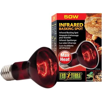 Lampe chauffante infrarouge Exo Terra 50W - Source de chaleur nocturne pour reptiles - Publicité Lampe chauffante infrarouge Exo Terra 50W - Source de chaleur nocturne pour reptiles - Publicité