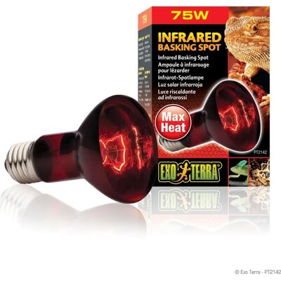 Lampada riscaldante infrarossi Exo Terra 75W - Terrario per rettili Lampada riscaldante infrarossi Exo Terra 75W - Terrario per rettili