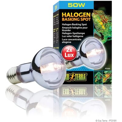 Exo Terra Sun Glo Tageslicht Halogenlampe 50W - Beleuchtung Exo Terra Sun Glo Tageslicht Halogenlampe 50W - Beleuchtung