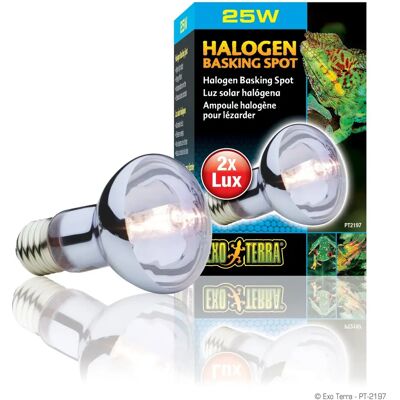 Exo Terra Lampe Halogène 25W pour Reptiles - Publicité Exo Terra Lampe Halogène 25W pour Reptiles - Publicité