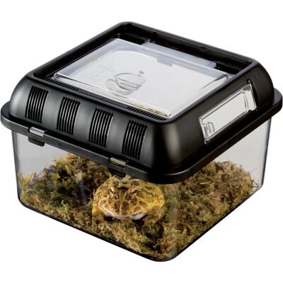 Hagen Exo Terra Faunarium Plastikowe Terrarium - Duże - 46 x 30 x 17cm Hagen Exo Terra Faunarium Plastikowe Terrarium - Duże - 46 x 30 x 17cm