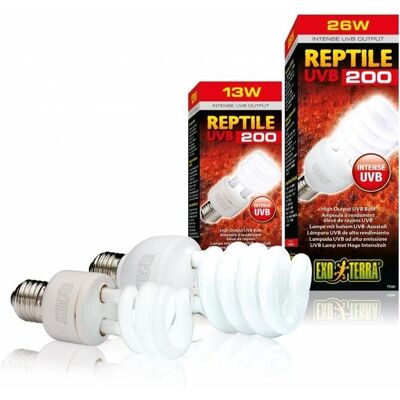 Hagen Reptile UVB200 Lampada ad Alta Output - Lampada UVB per Rettili Hagen Reptile UVB200 Lampada ad Alta Output - Lampada UVB per Rettili