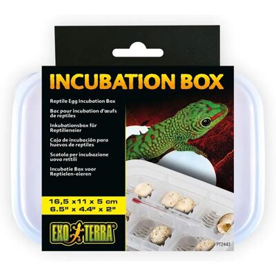 Scatola di Incubazione Exo Terra - Incubatore per Uova di Reptile - Bianco 16,5x11x5cm Scatola di Incubazione Exo Terra - Incubatore per Uova di Reptile - Bianco 16,5x11x5cm