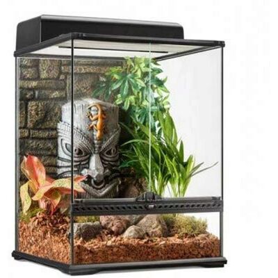 Terrarium Tiki Petit Exo Terra - Habitat pour Reptiles - Publicité Terrarium Tiki Petit Exo Terra - Habitat pour Reptiles - Publicité