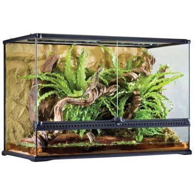 Exo Terra - Terrarium L Tall - 243L - Terrarium Exo Terra - Terrarium L Tall - 243L - Terrarium