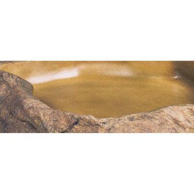 Exo Terra Ciotola per rettili media - Ciotola alimentazione rettili Exo Terra Ciotola per rettili media - Ciotola alimentazione rettili