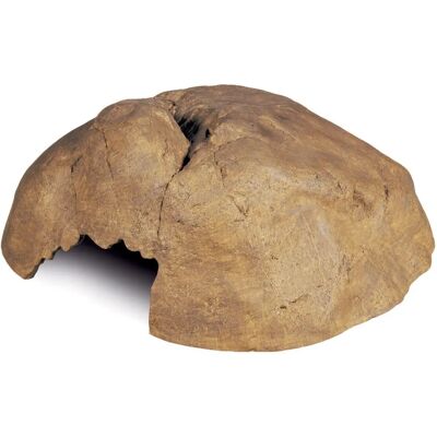Grotte pour Reptiles Exo Terra Abri Naturel XL - Grotte - Publicité Grotte pour Reptiles Exo Terra Abri Naturel XL - Grotte - Publicité