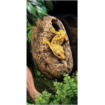Canopée de Caverne Exo Terra - Reptiles, Décoration, Grottes & Roches Canopée de Caverne Exo Terra - Reptiles, Décoration, Grottes & Roches