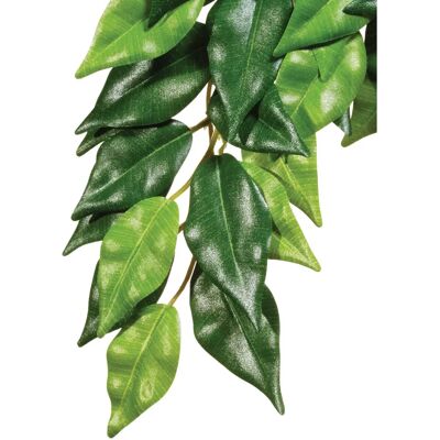 Exo Terra PT3030 Reptile Amphibian Habitat Décor - Plants Exo Terra PT3030 Reptile Amphibian Habitat Décor - Plants
