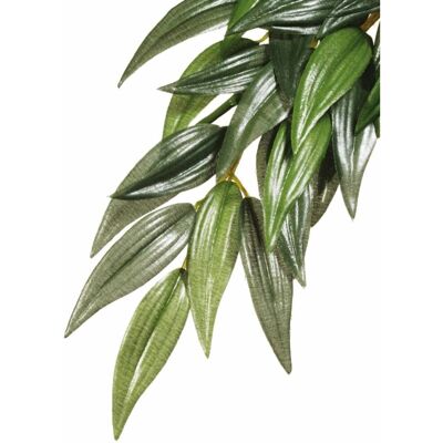 Exo Terra Ruscus Artificial Plant - Reptile Decoration Exo Terra Ruscus Artificial Plant - Reptile Decoration