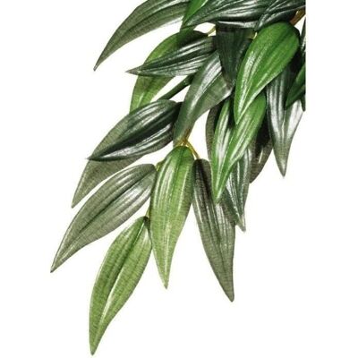 Exo Terra Silk Ruscus Plant - Artificial Reptile Decor Exo Terra Silk Ruscus Plant - Artificial Reptile Decor