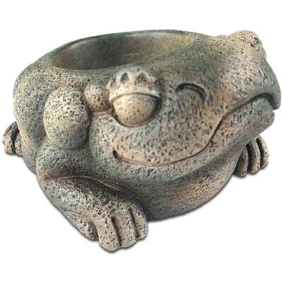 Exo Terra Water Dish - 40 ml Reptile Water Bowl Exo Terra Water Dish - 40 ml Reptile Water Bowl
