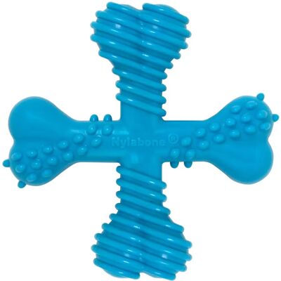 Nylabone - X-Bone - Saveur Boeuf - Petit - Jouet à mâcher pour chien - Publicité Nylabone - X-Bone - Saveur Boeuf - Petit - Jouet à mâcher pour chien - Publicité