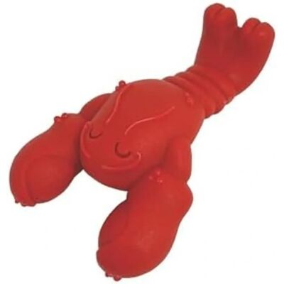 Jouet pour chien Nylabone Bœuf Artificiel - S - Publicité Jouet pour chien Nylabone Bœuf Artificiel - S - Publicité