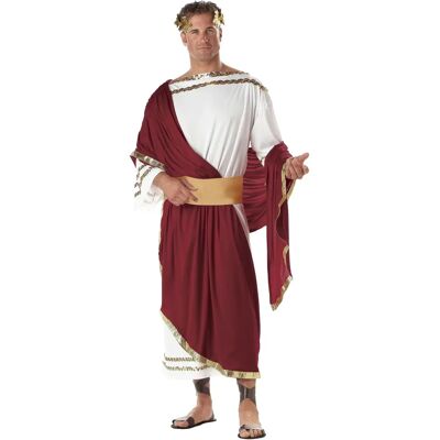 California Costume Collections Julius Caesar Deluxe Römischer Toga Kostüm - 44-46 California Costume Collections Julius Caesar Deluxe Römischer Toga Kostüm - 44-46