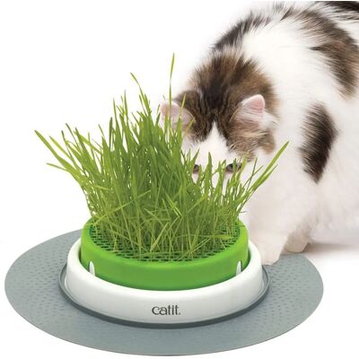 Catit Senses 2.0 Gräsplanter - Husdjursutrustning Catit Senses 2.0 Gräsplanter - Husdjursutrustning