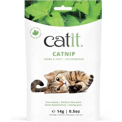 Catit 56g Herbe à chat naturelle - Chats, Malt et Plus - Publicité Catit 56g Herbe à chat naturelle - Chats, Malt et Plus - Publicité
