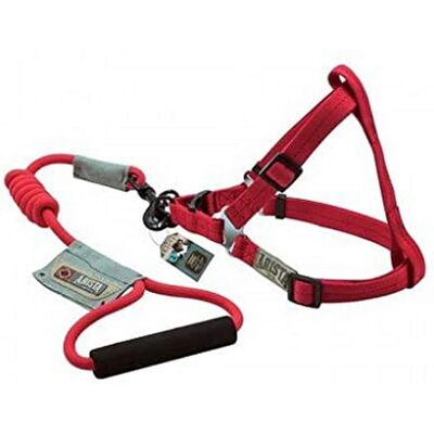 Zeus Dog Harness and Leash - Red Zeus Dog Harness and Leash - Red
