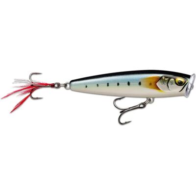 Rapala Skitter Pop Elite 95 Gilded Maiwashi - Oberflächenköder Rapala Skitter Pop Elite 95 Gilded Maiwashi - Oberflächenköder
