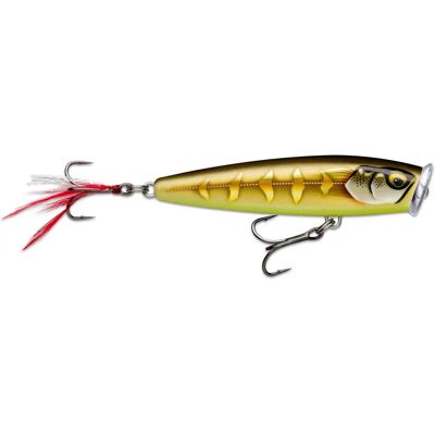 Rapala Skitter Pop Elite - Gilded Striped Grey Shiner - Cebo de superficie 9,5cm Rapala Skitter Pop Elite - Gilded Striped Grey Shiner - Cebo de superficie 9,5cm