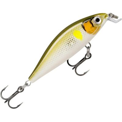 Rapala X-Light Minnow Fnm05 - Angelköder Rapala X-Light Minnow Fnm05 - Angelköder