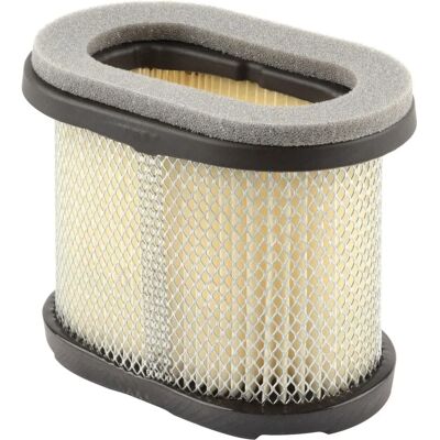 Filtr powietrza Briggs & Stratton 697029 - Filtr powietrza Filtr powietrza Briggs & Stratton 697029 - Filtr powietrza