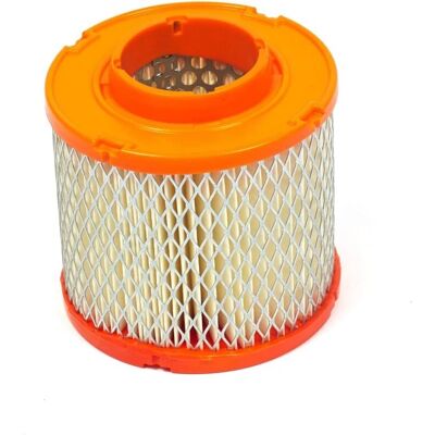 Briggs & Stratton Luftfilter - 845090 Briggs & Stratton Luftfilter - 845090