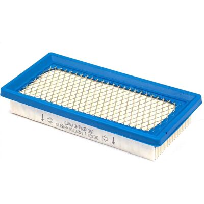 Filtro a cartuccia BRIGGS & STRATTON - filter Filtro a cartuccia BRIGGS & STRATTON - filter