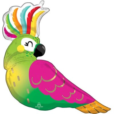 Amscan 4267301 party decoration Toy balloon - party decoration Amscan 4267301 party decoration Toy balloon - party decoration