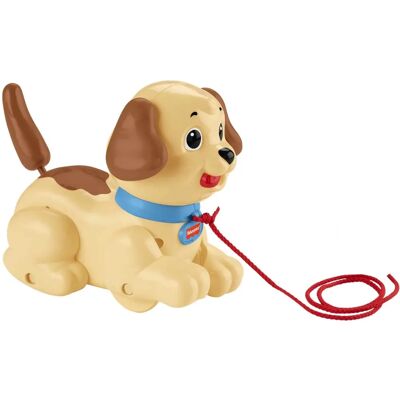 Fisher-Price H9447 Jouet à tirer et pousser - Push & Pull Toy Fisher-Price H9447 Jouet à tirer et pousser - Push & Pull Toy