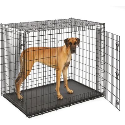 Midwest Hundekiste - XXL Doppeltdoor für Riesenshunde Midwest Hundekiste - XXL Doppeltdoor für Riesenshunde