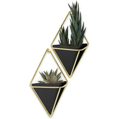 Umbra Model 470753-1137 Wall-mounted Indoor Pot Plant - Black & Gold Umbra Model 470753-1137 Wall-mounted Indoor Pot Plant - Black & Gold