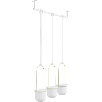 Umbra - Triflora - Alb - 3-pot - Planter Umbra - Triflora - Alb - 3-pot - Planter