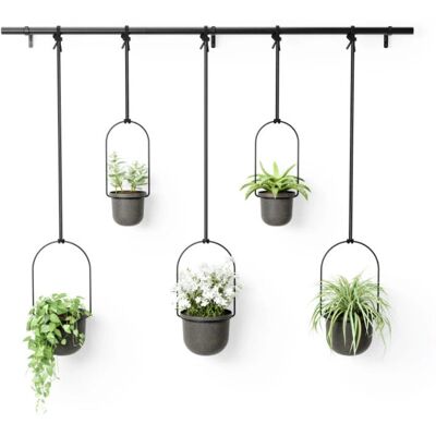 Ensemble de 5 Jardinières d'Herbes Intérieures Umbra Triflora Noires Ensemble de 5 Jardinières d'Herbes Intérieures Umbra Triflora Noires