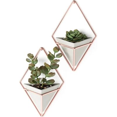 Umbra Trigg Wall Decor & Planter Set - Small Umbra Trigg Wall Decor & Planter Set - Small