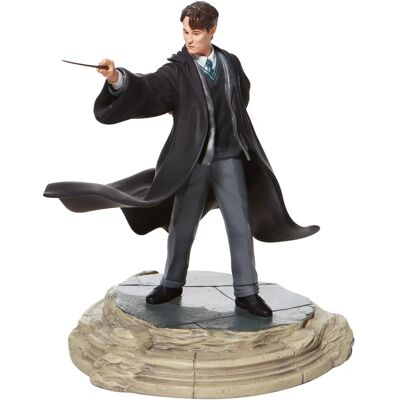 ENESCO Tom Riddle - Figura ENESCO Tom Riddle - Figura