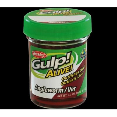 Berkley - Gulp Alive Angle Worm 30 Mm - Gold - Angelköder Berkley - Gulp Alive Angle Worm 30 Mm - Gold - Angelköder