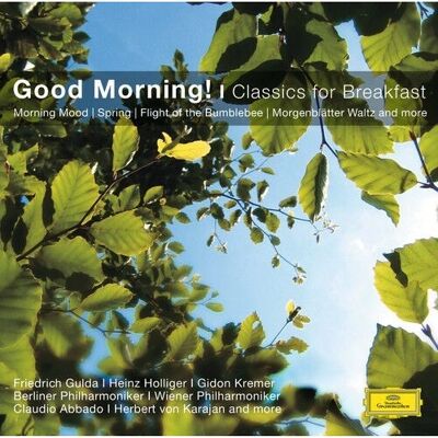 Deutsche Grammophon Neeme Järvi Herbert von Karajan - Musique Classique - Album de Musique - Publicité Deutsche Grammophon Neeme Järvi Herbert von Karajan - Musique Classique - Album de Musique - Publicité