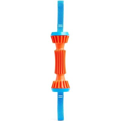 Chuckit! Bumper Robuste Petit - Jouet pour Chien - Bleu/Orange - Publicité Chuckit! Bumper Robuste Petit - Jouet pour Chien - Bleu/Orange - Publicité