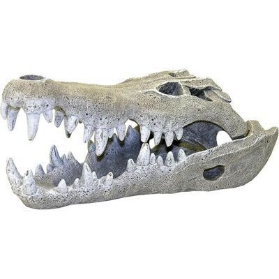 Crâne de crocodile du Nil Rosewood Petit - Décor d'aquarium Crâne de crocodile du Nil Rosewood Petit - Décor d'aquarium